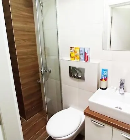 3 Bdr For 6 Center Close To National Museum * Bělehrad